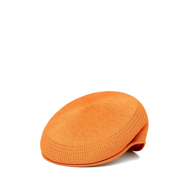 Ventair 504 cap